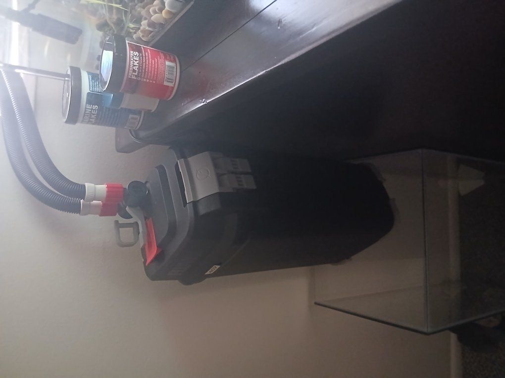 45 gallon bowtie fish tank