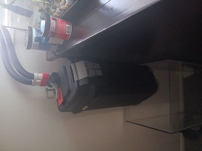 45 gallon bowtie fish tank