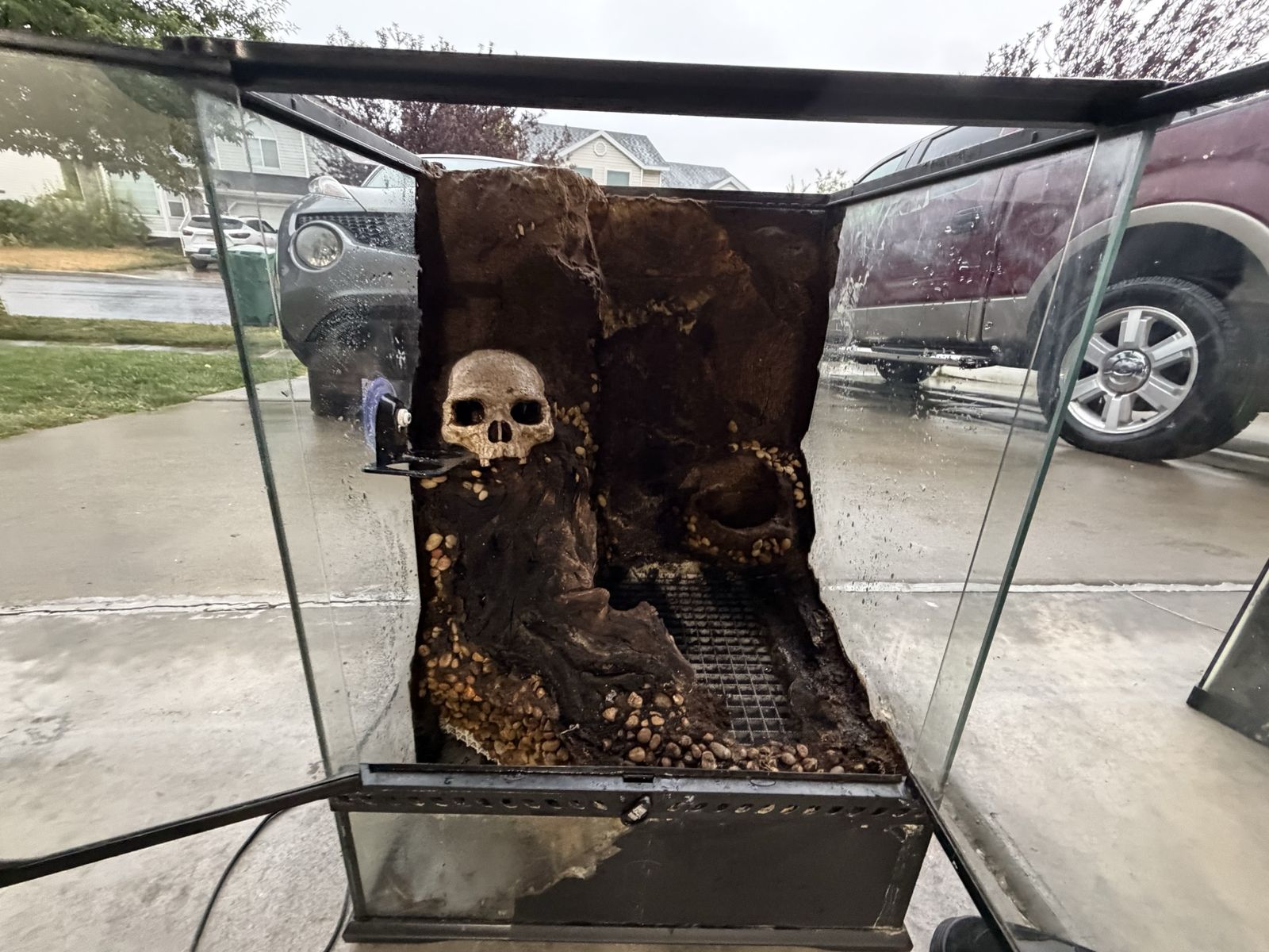 Terrarium custom with Skull and waterfall 