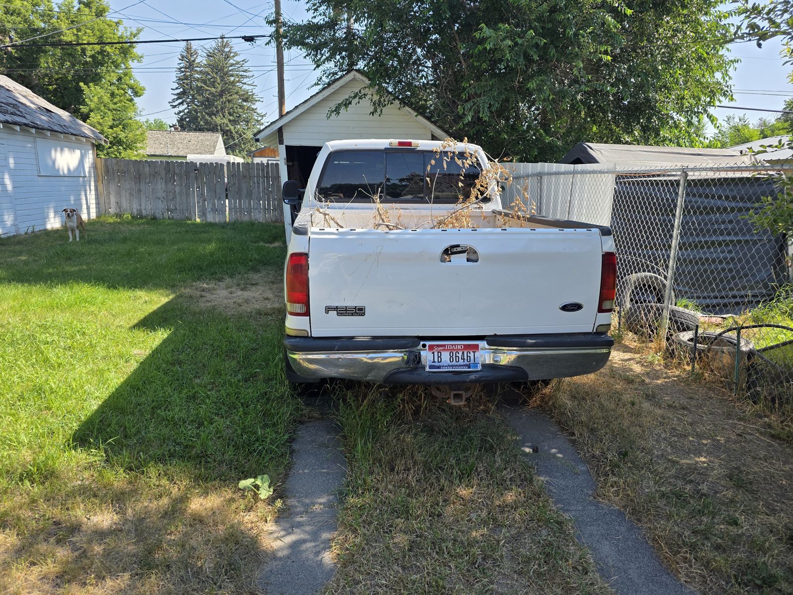 Main image 4