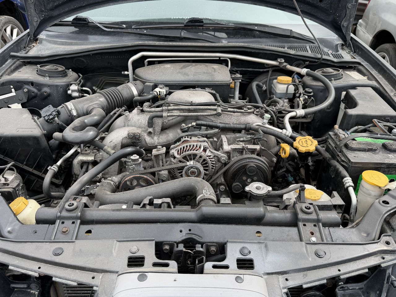 Main image 6