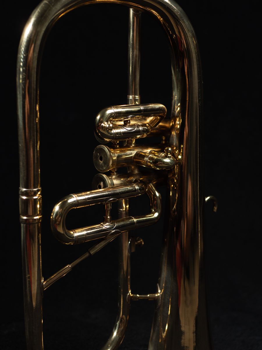 Main image 5