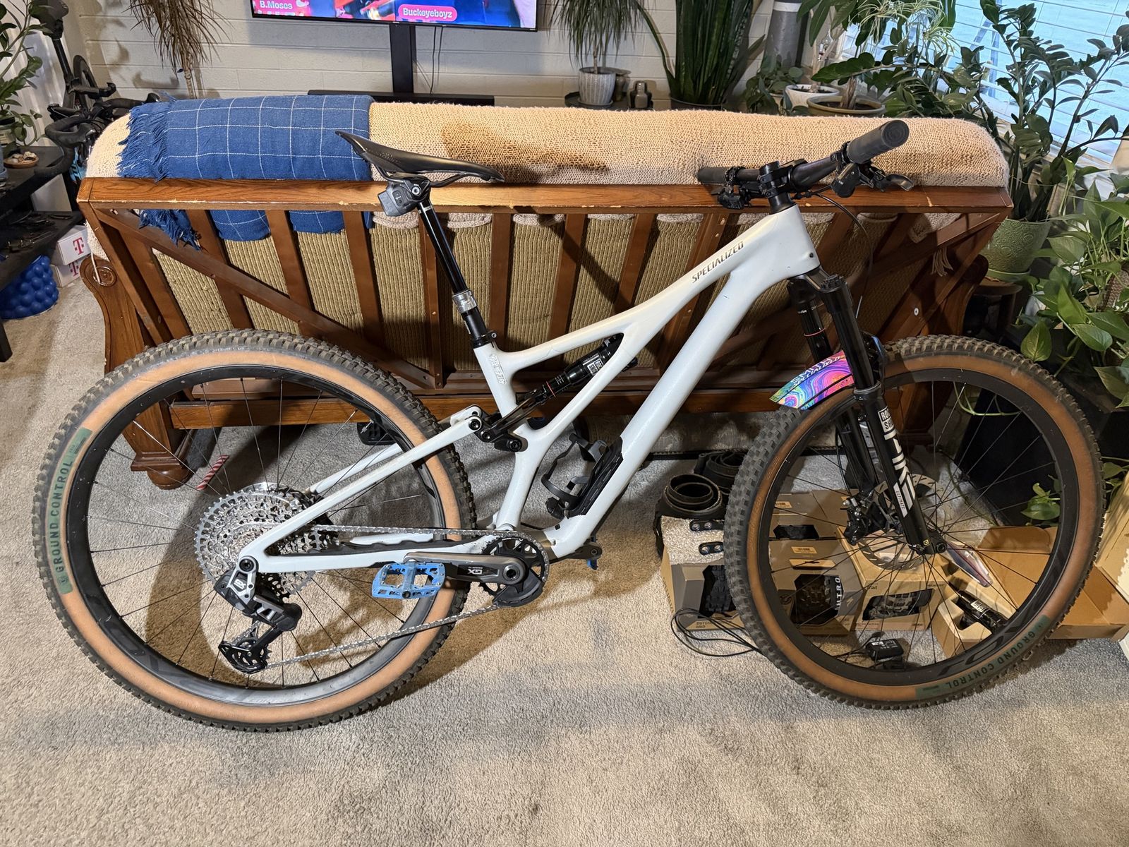 2023 Custom Stumpjumper LTD