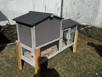 Chicken Coop