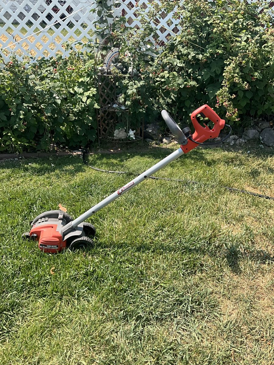 Lawn edger Hedgehog
