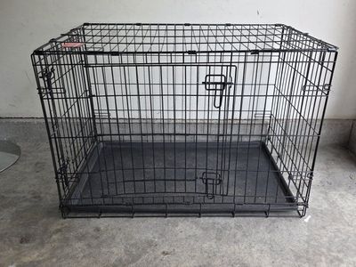 large dog crate
