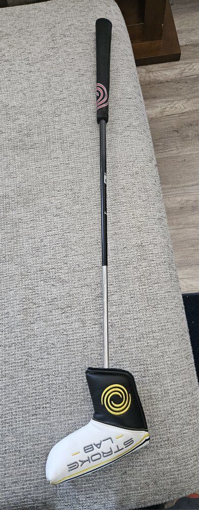 Odyssey stroke lab one