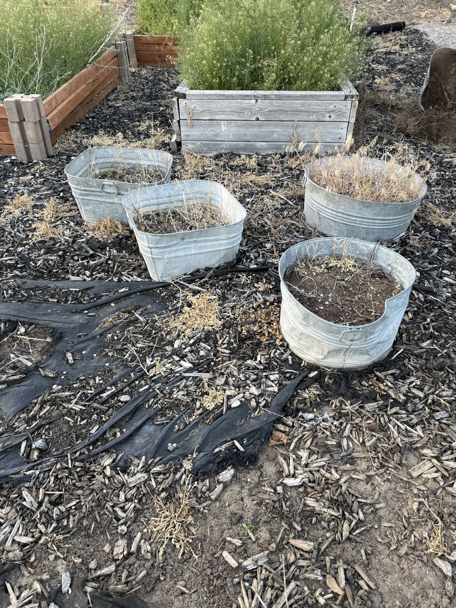 Set of 4 Antique Washtubs