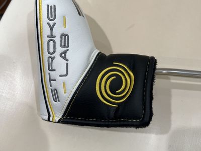 Stroke lab putter