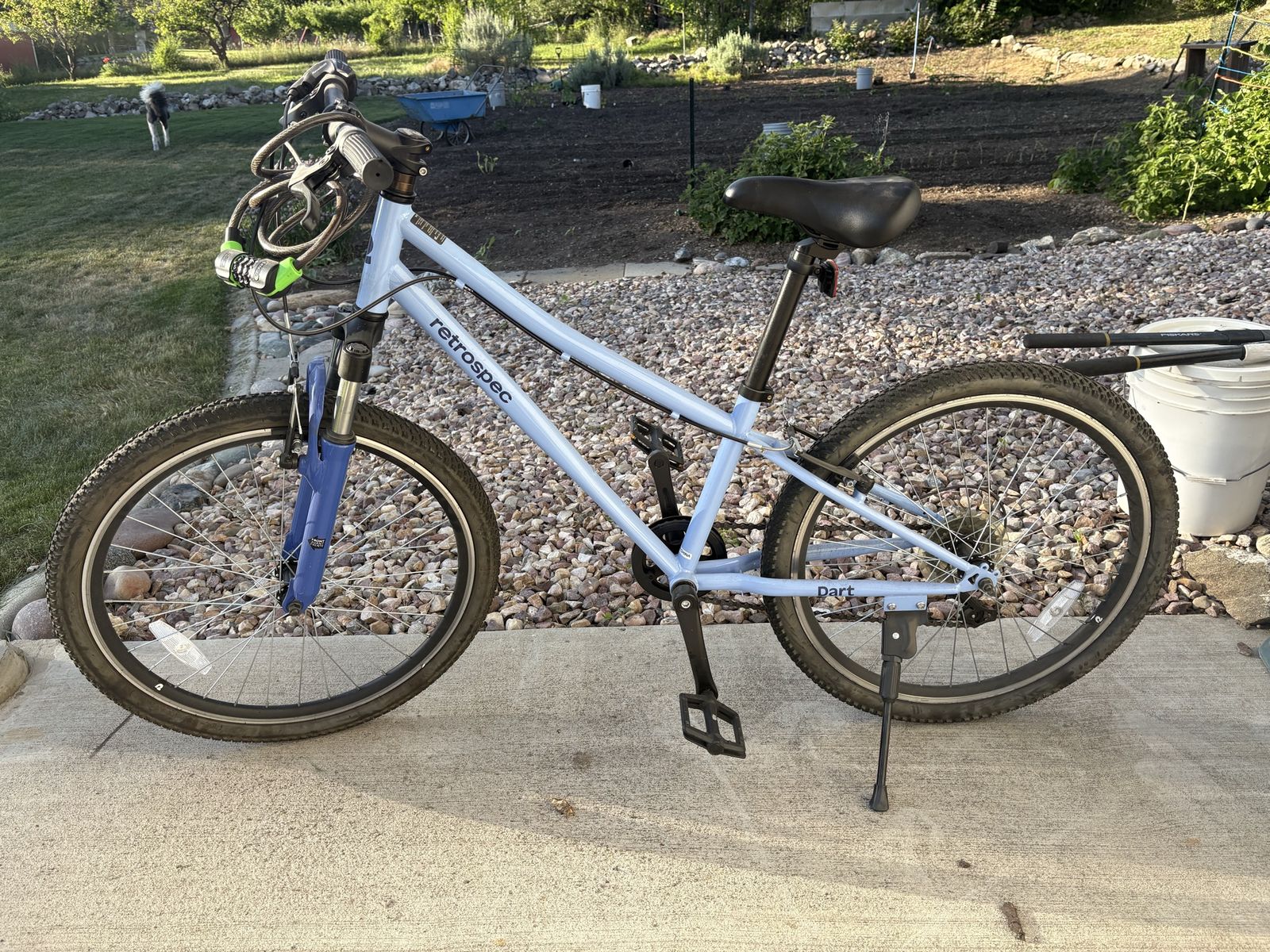 24” Retrospec bike