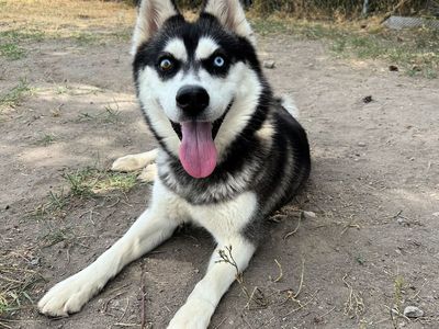 Freya