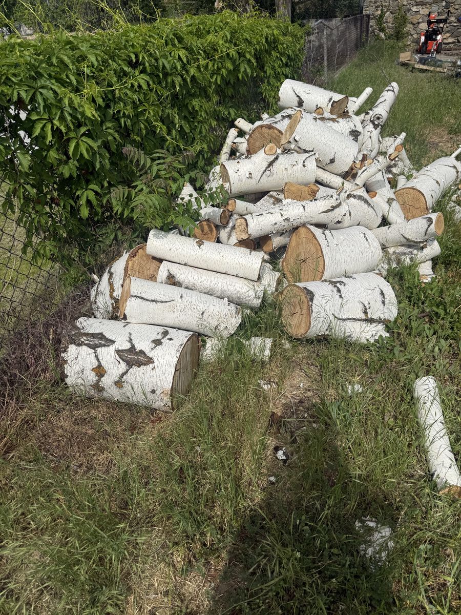 FREE wood