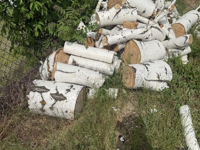 FREE wood