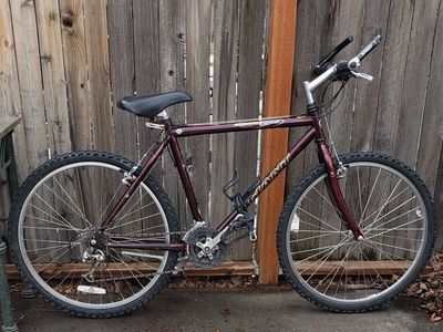GIANT IGUANA MOUNTAIN BIKE 650 18" & 22"