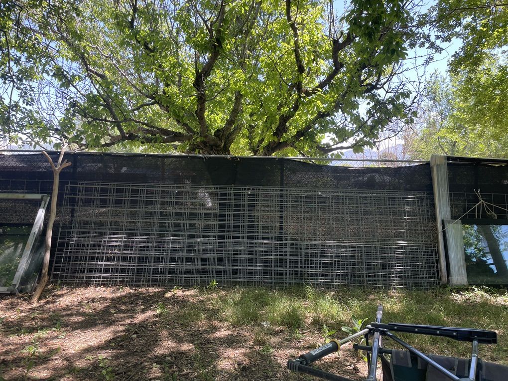Hog Fence