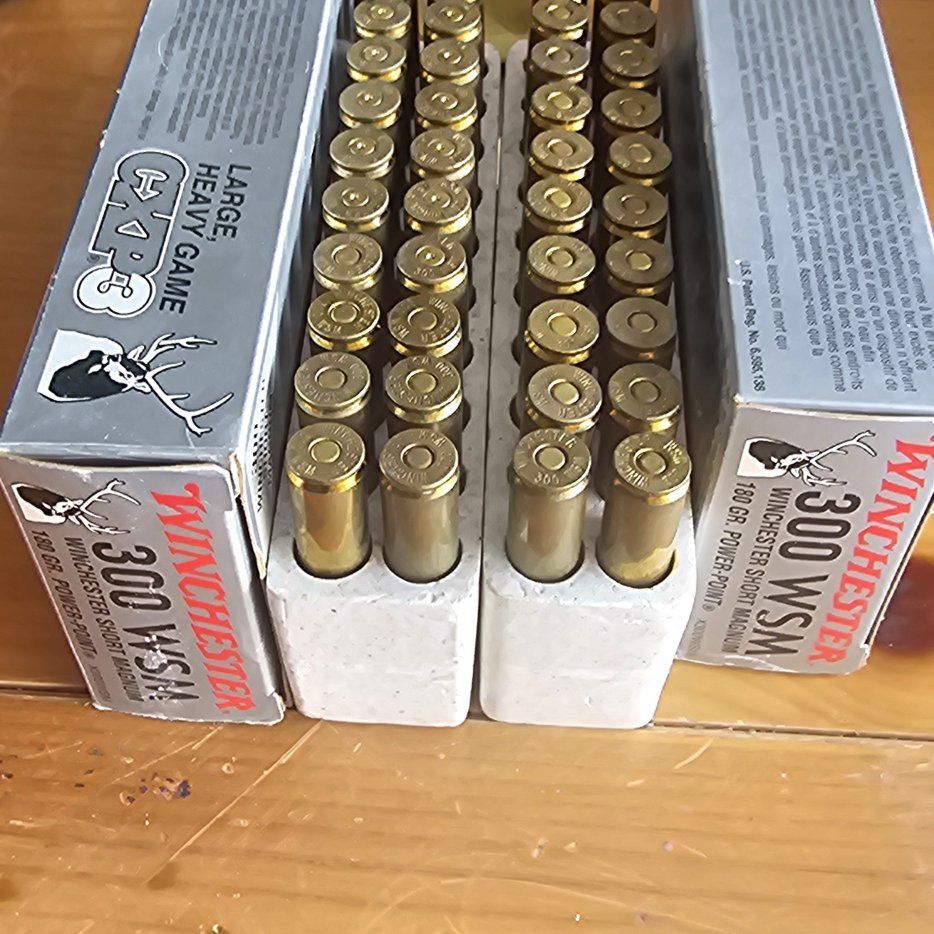 27 Rounds Winchester 180 gr. 300 WSM