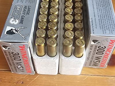 27 Rounds Winchester 180 gr. 300 WSM