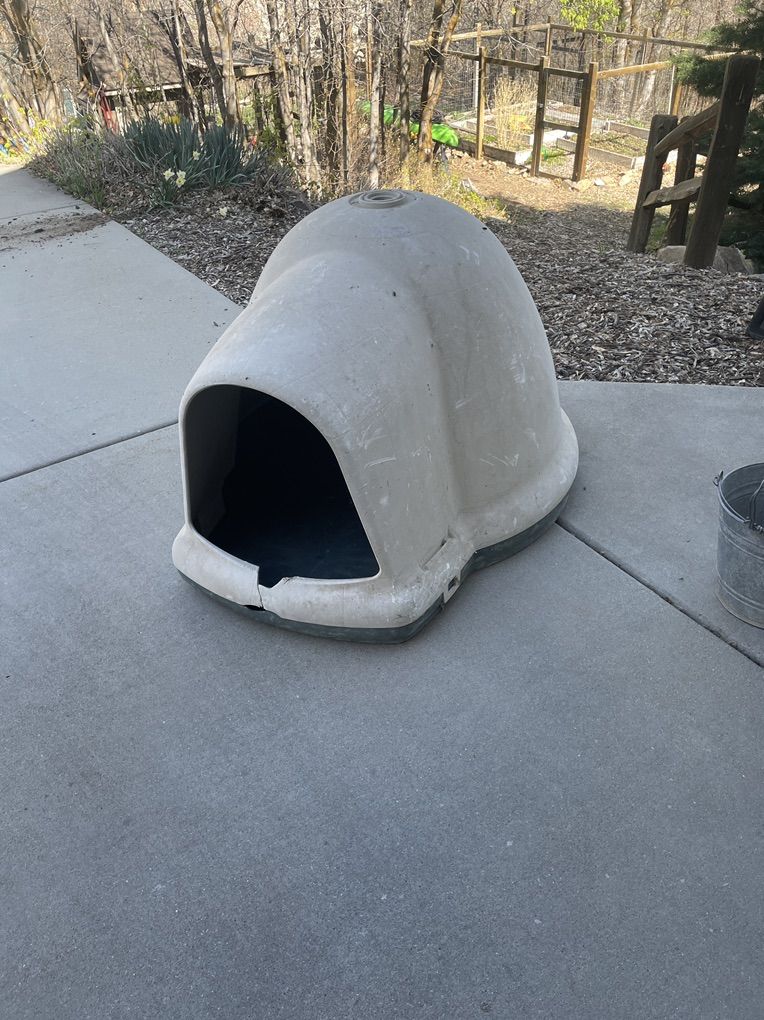 Dog Igloo And Heated Dog Dish