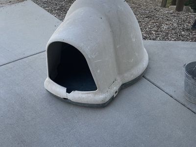 Dog Igloo And Heated Dog Dish