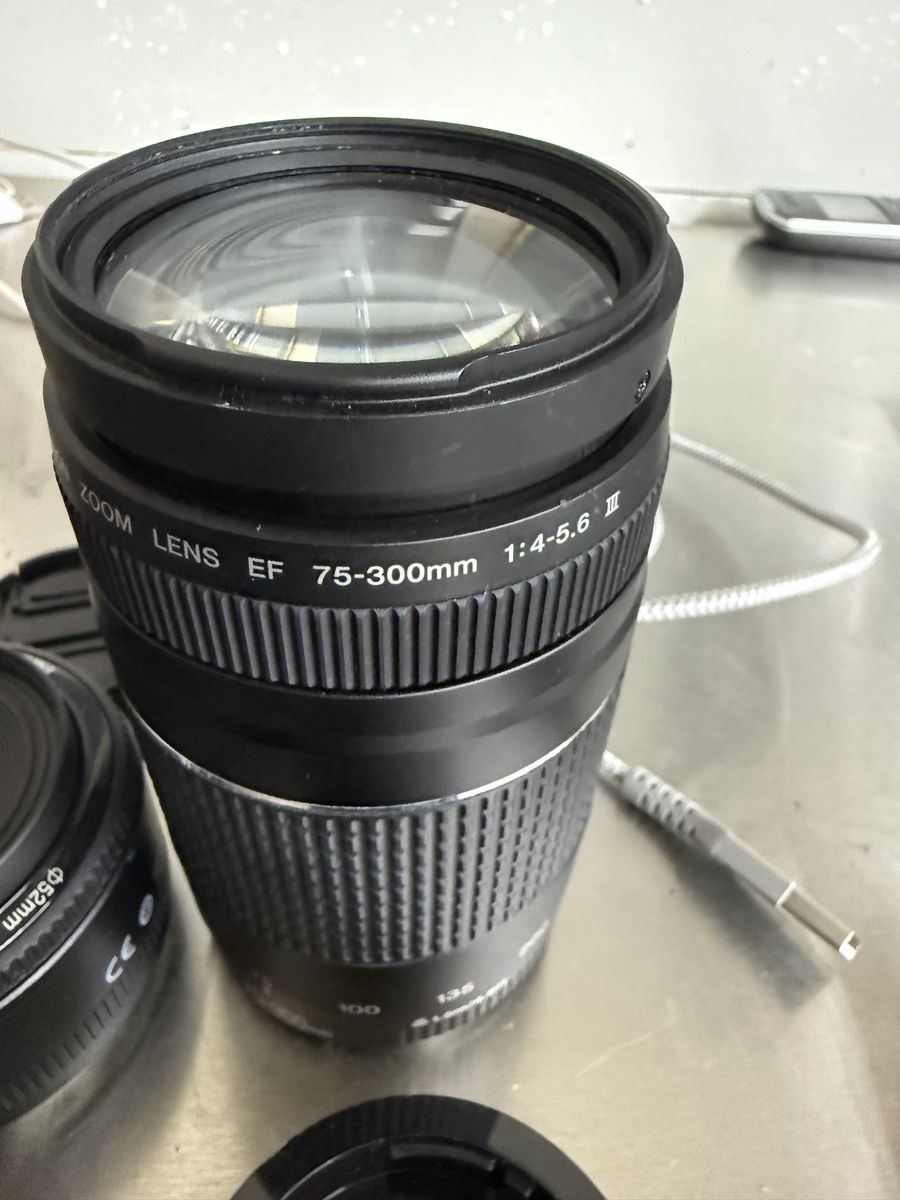 Canon t8i , 75-300 iii