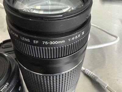 Canon t8i , 75-300 iii
