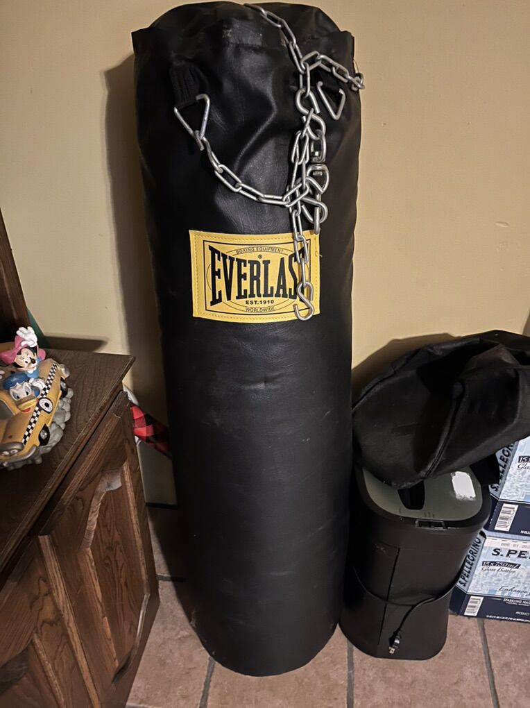Everlast Punching Bag