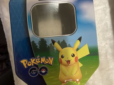 Pokemon Case Thing