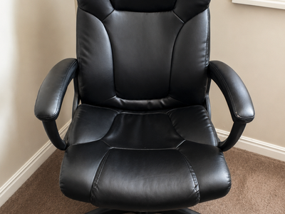 Black Executive Office Chair | Ergonomic High Back Desk Chair with Padded Arms & Rolling Wheels