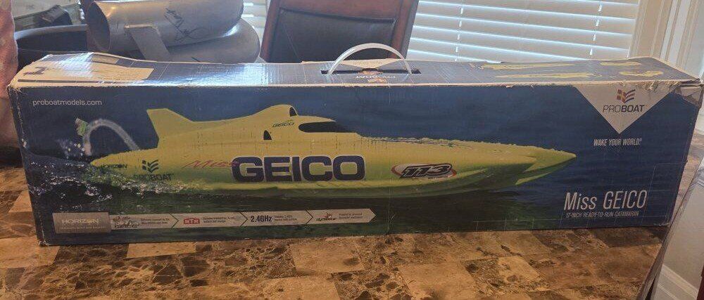 Miss Geico Proboat
