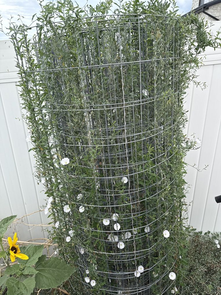 Wire Fencing - 5' Partial Roll