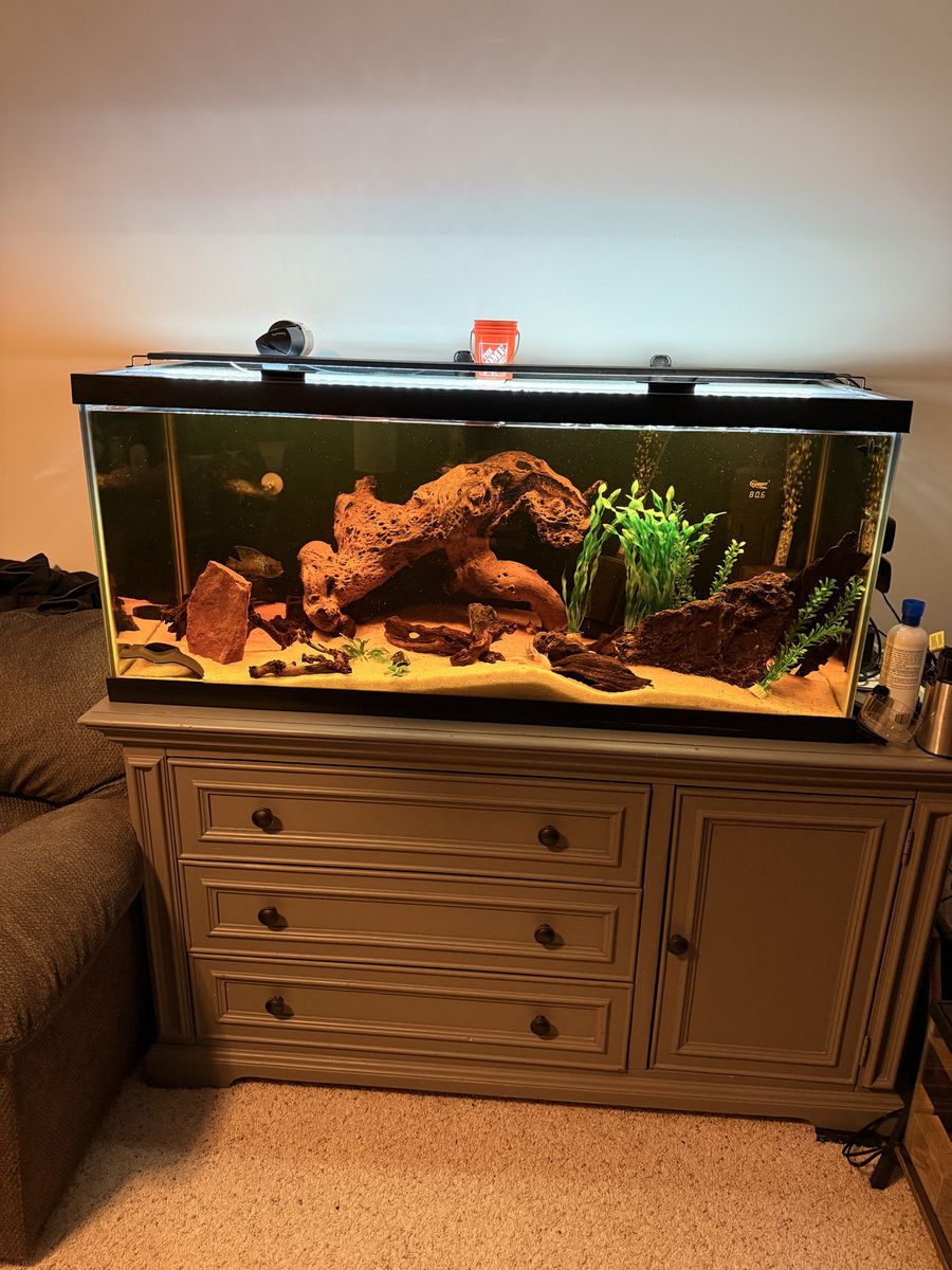 75 gallon Glass Aquarium with Wooden Cabinet and Fluval FX4 Canister Filter
