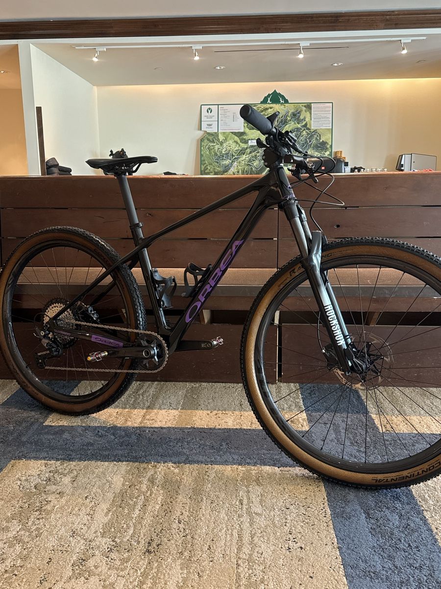 Hardtail DIY Carbon .. like Orbea Alma