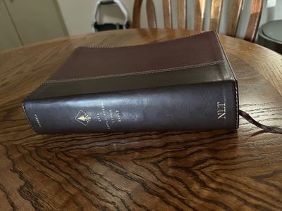 Tyndale NLT Life Application Study Bible LeatherLike Two-Tone Brown Indexed