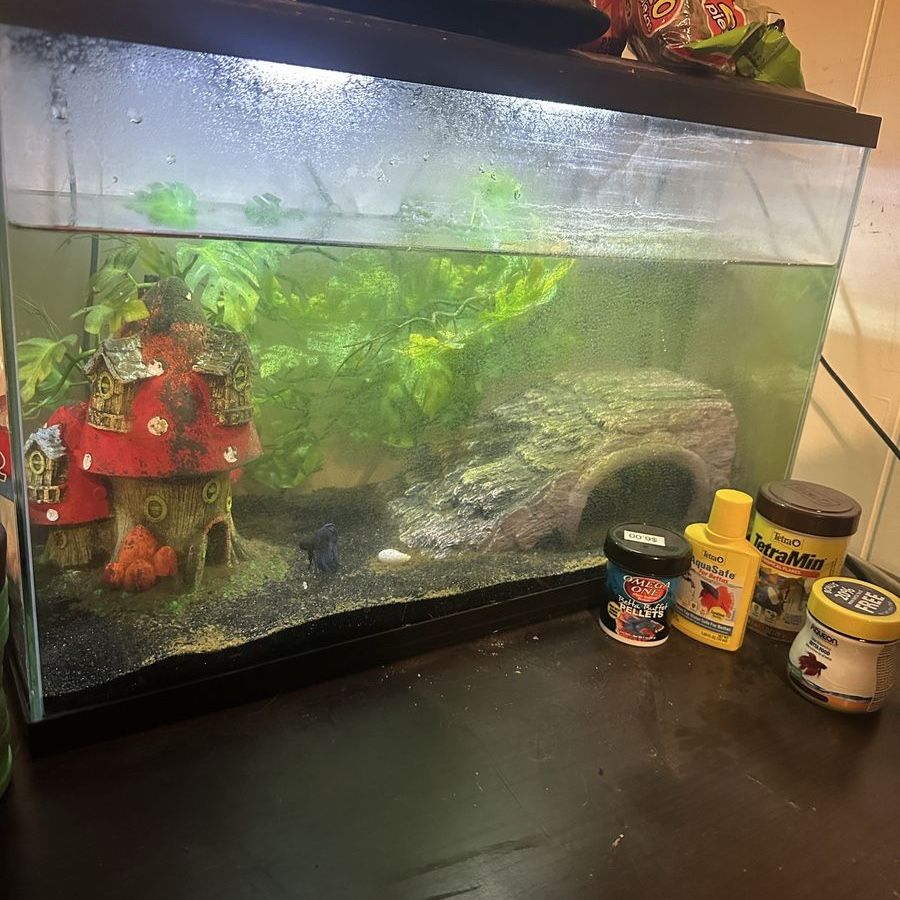 Complete Fish Tank Setup with Decorations and Food