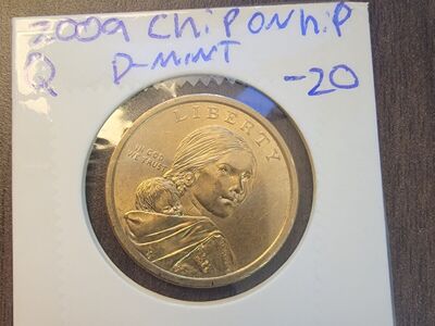 2009 sacagawea defect.