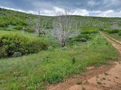 One acre of Sanpete paradise, FREE ski pass"