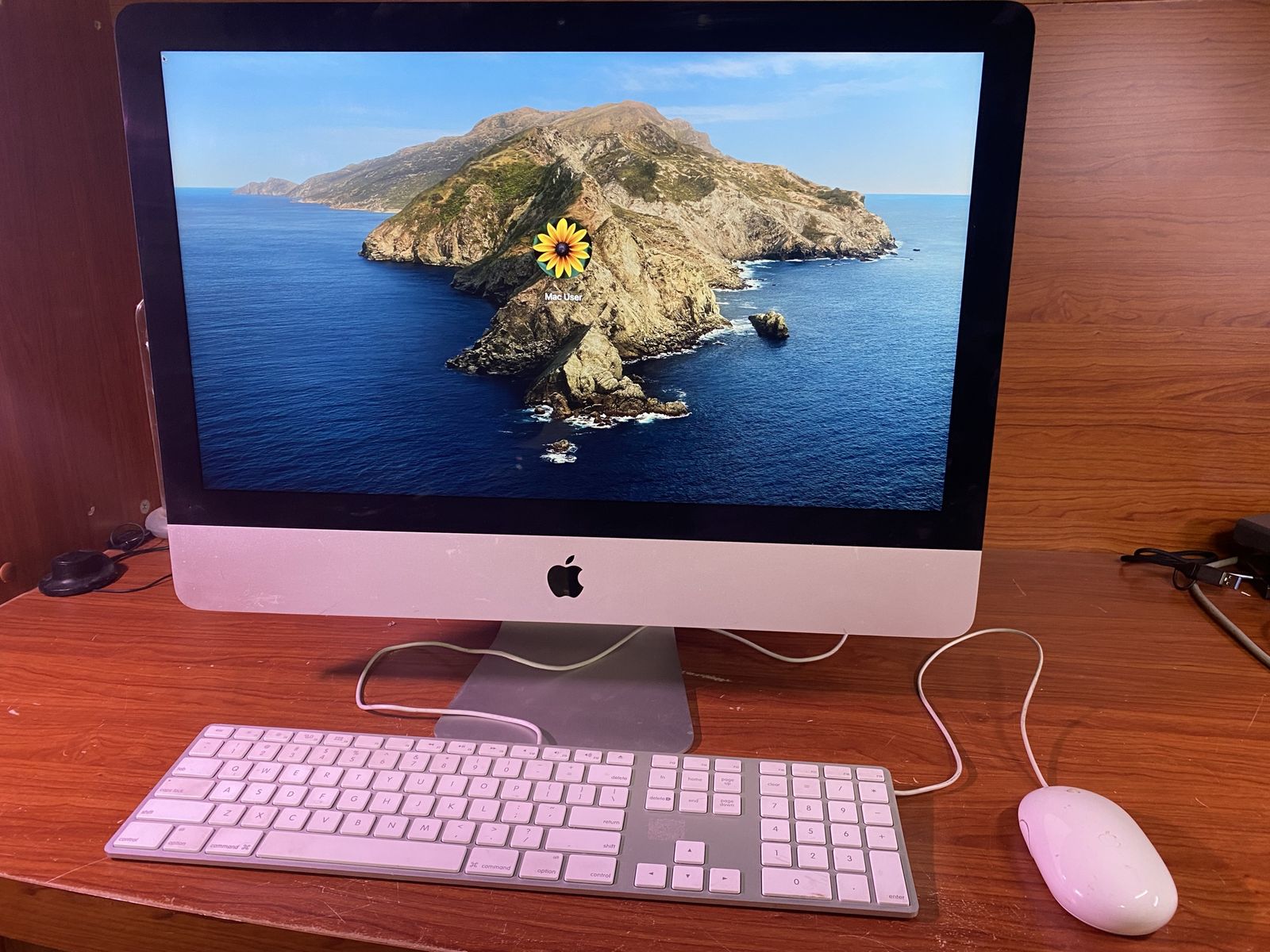 Apple iMac with Quadcore Core i5 processor, 16 GB RAM, 1 TB HD with Keyboard and Mouse, MacOS Ventura 
