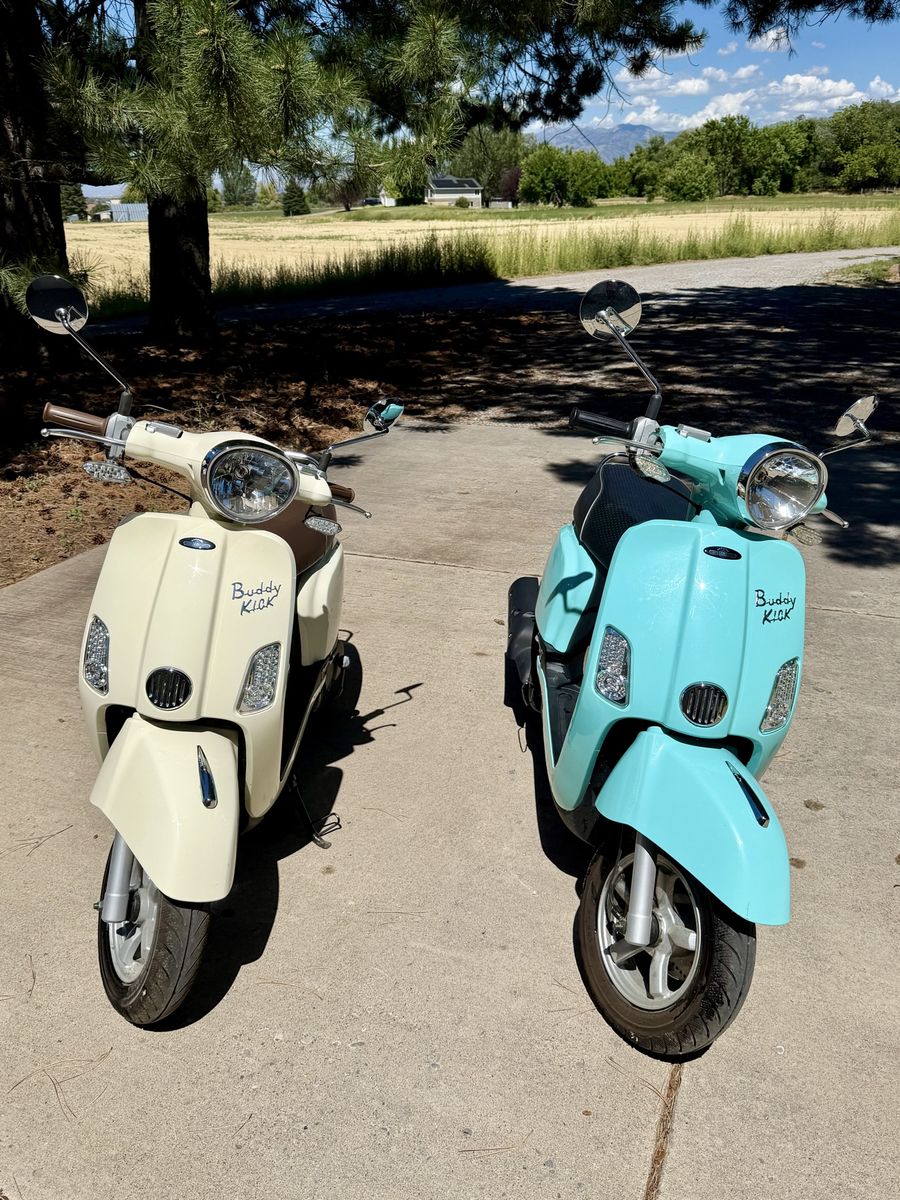 Buddy Kick Scooter