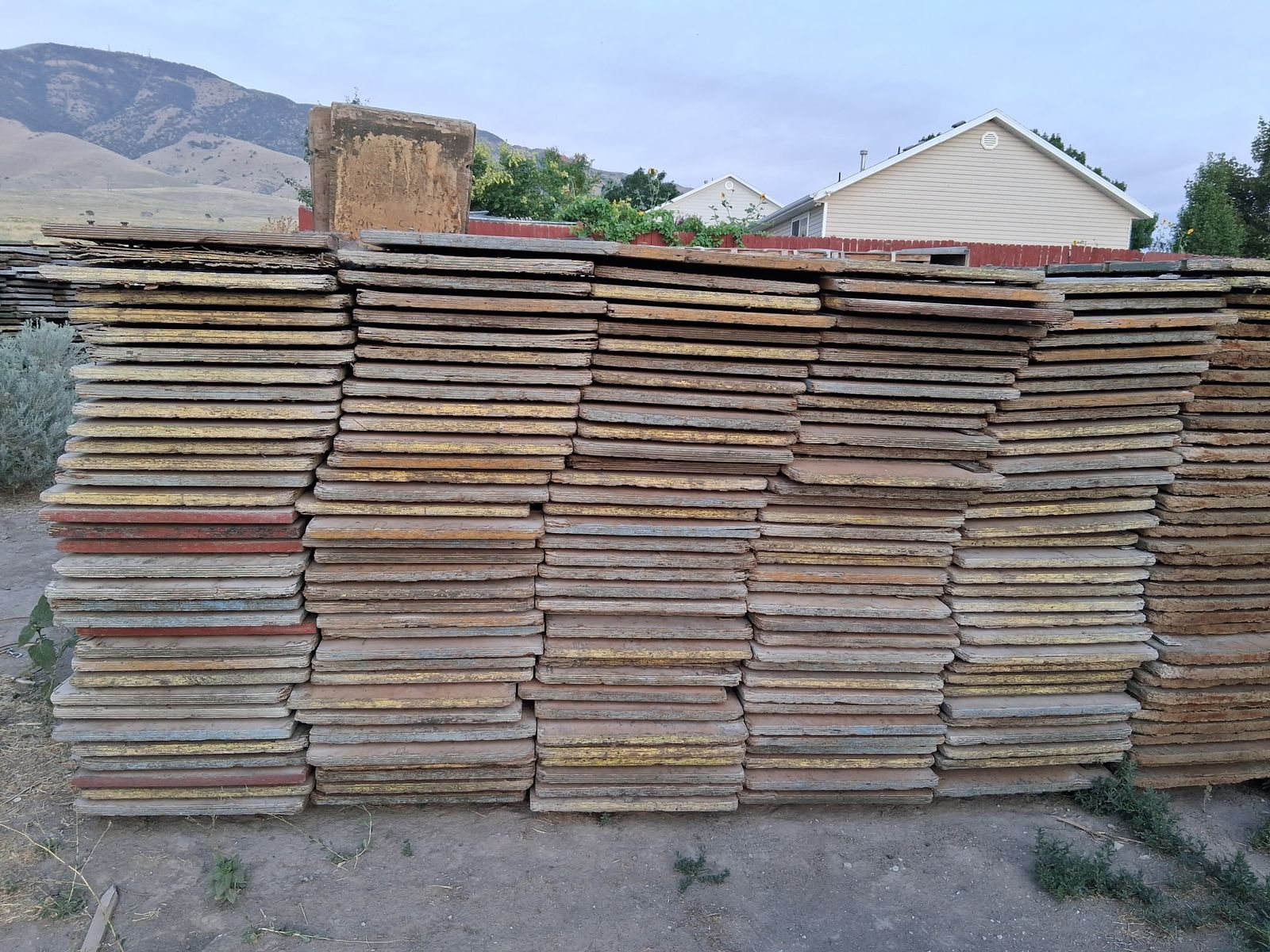 200x Steel Dog Concrete Forms - 8ft / 6-Bar