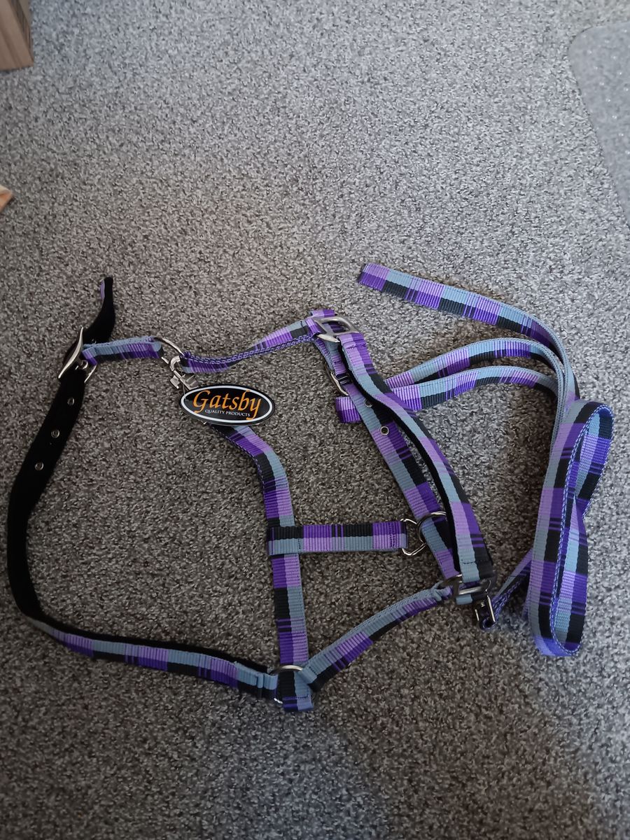 Gatsby Purple Plaid Quality Products Halter - New Horse Bridle/Lead Rope Set