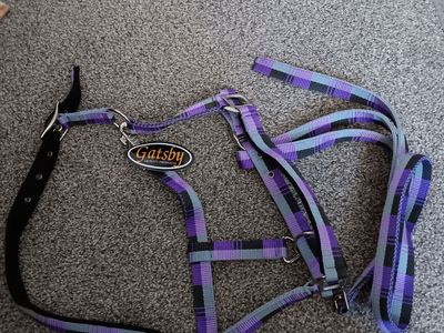 Gatsby Purple Plaid Quality Products Halter - New Horse Bridle/Lead Rope Set