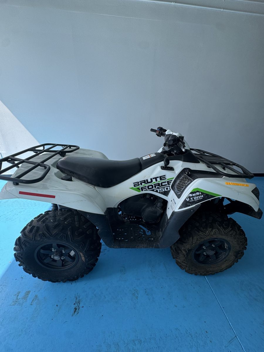 Kawasaki Brute Force 750 4x4i V-Twin ATV 2019