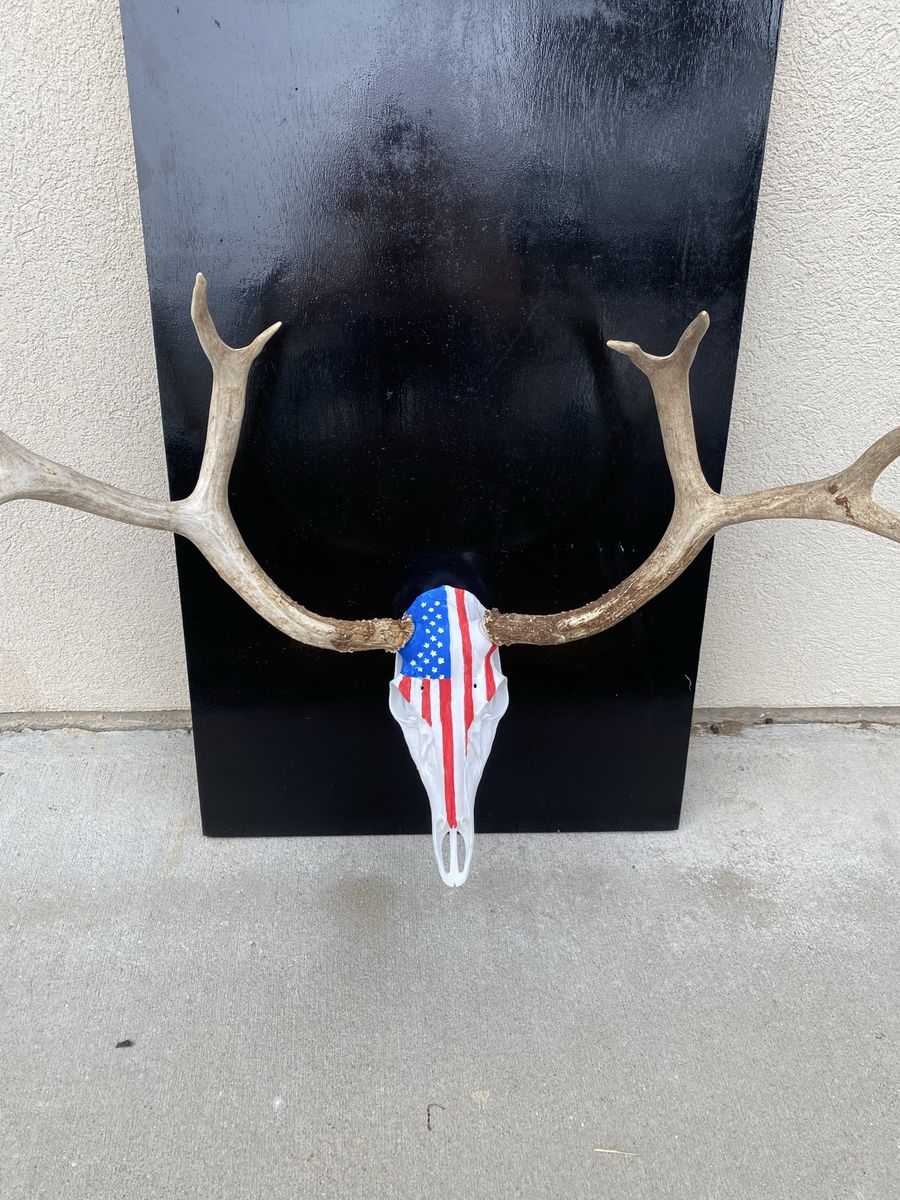 Deer Skull Shed Mount (3d Printed)