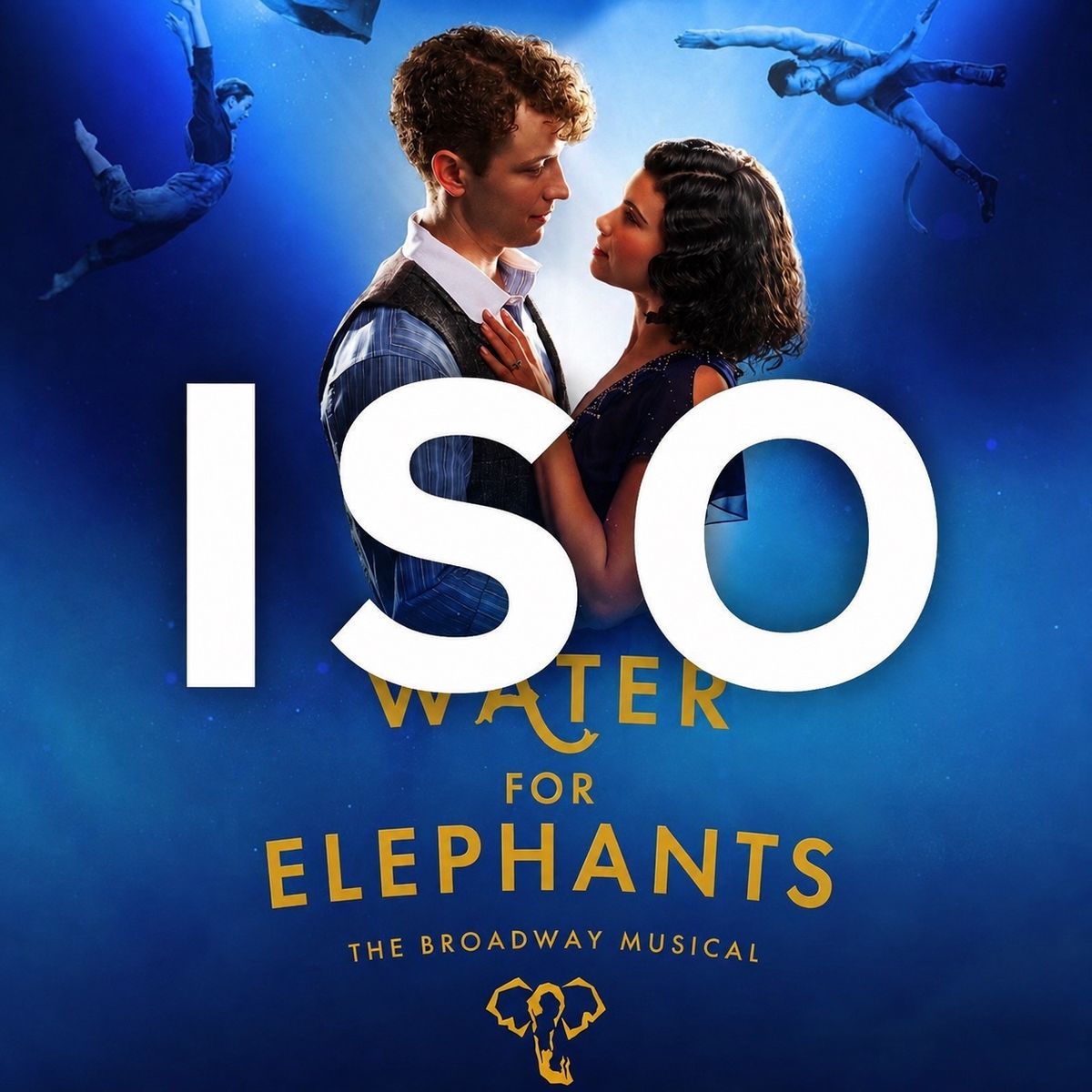 SEEKING: 1 Ticket for TONIGHT to Water for Elephants