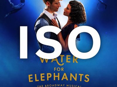SEEKING: 1 Ticket for TONIGHT to Water for Elephants