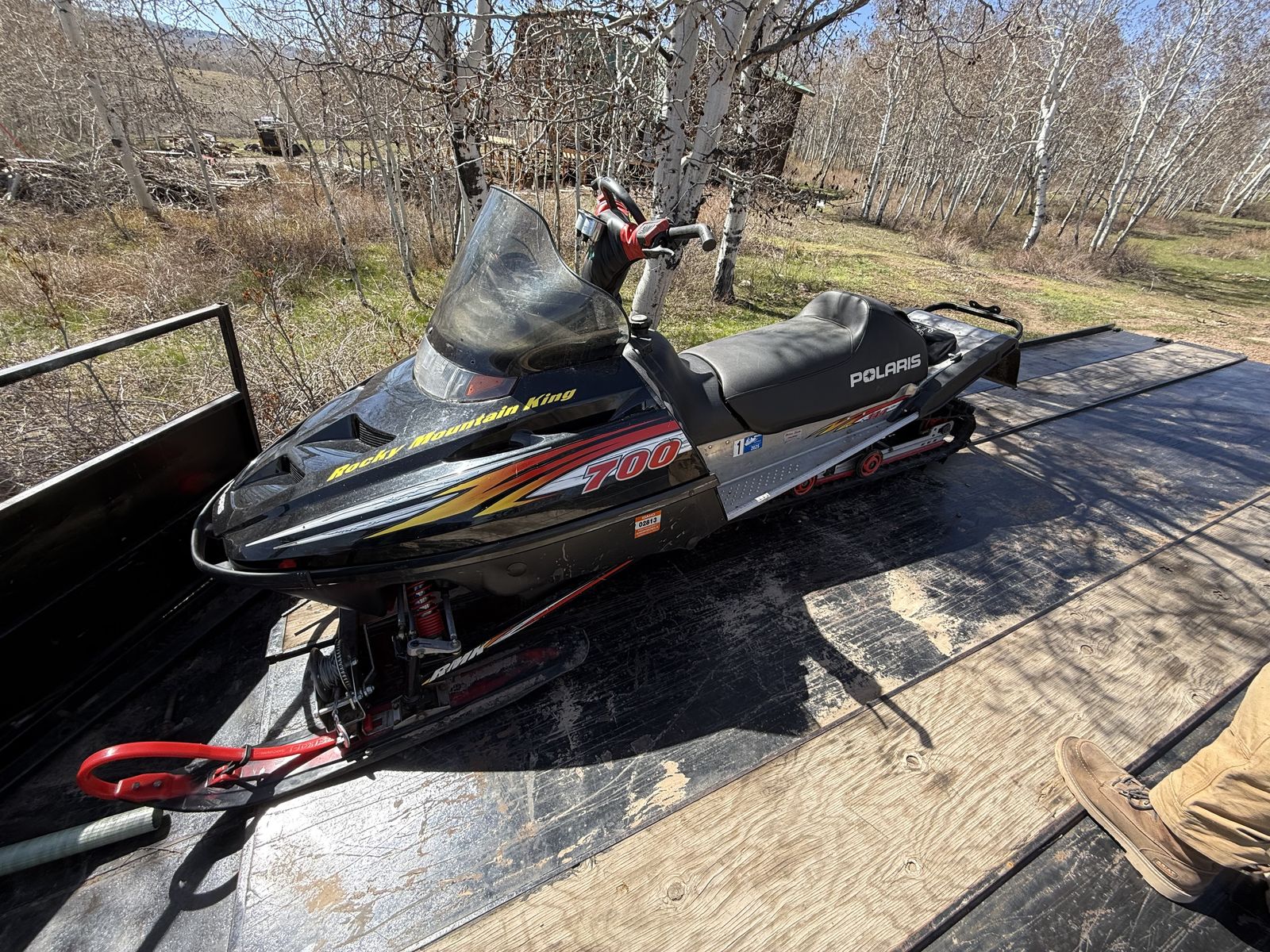 2001 Polairs RMK 700