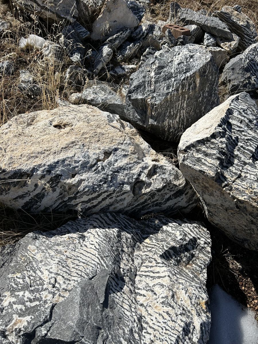 stone Zebra print Rock