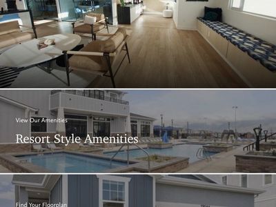 Velixon Website | Web Design