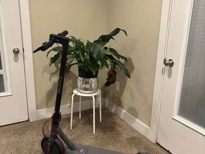 Macwheel Electric Scooter - Foldable, 350W Motor, 15.5mph, 18-Mile Range