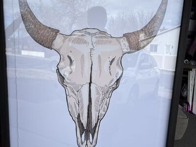 Pixers Cow Skull